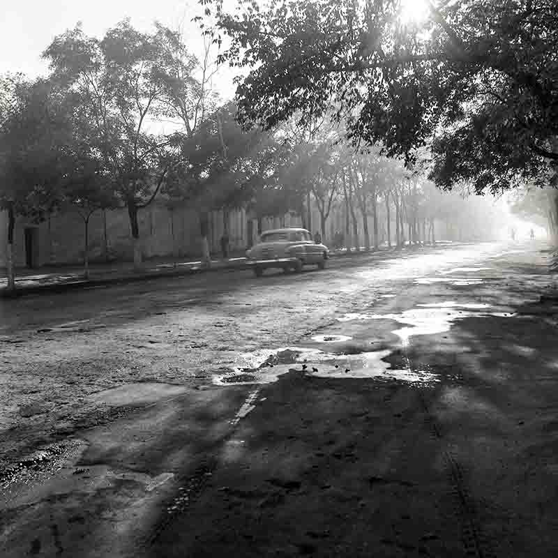 Azerbaijan Vintage Street Scene A black and white photograph of a wide, unpaved Azerbaijan road on a foggy or misty day. Sunlight streams brightly through the haze and the canopy of mature trees lining both sides of the street.